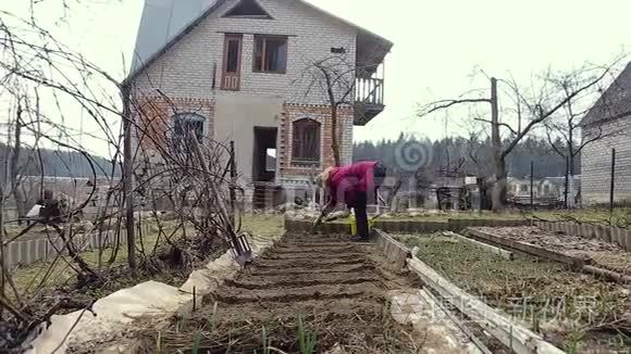 女农民种植胡萝卜种子