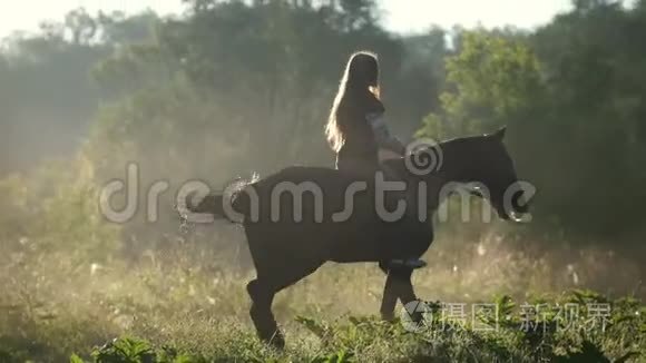 拂晓时，留着长发的女骑手骑着马骑在靠近森林的绿色边缘