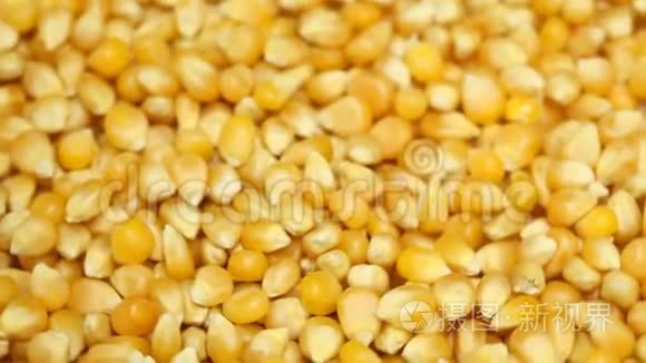 印度玉米粒的特写视频