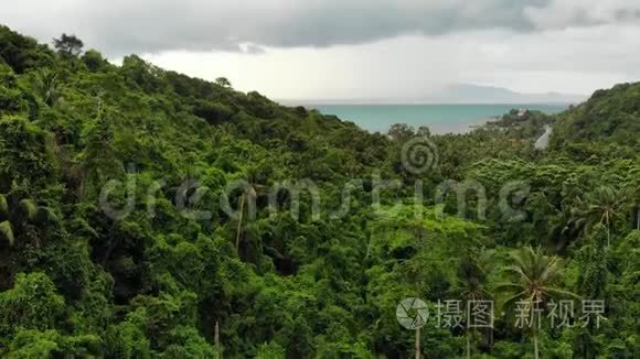 在热带岛屿上空盘旋。 灰色多云的天空，绿色的手掌在苏梅岛潮湿的季节在泰国。 视图