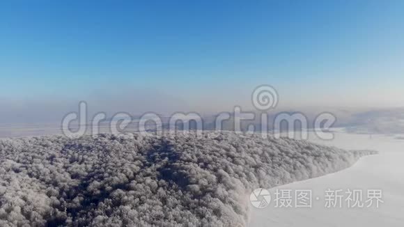 神秘的冬林和雪