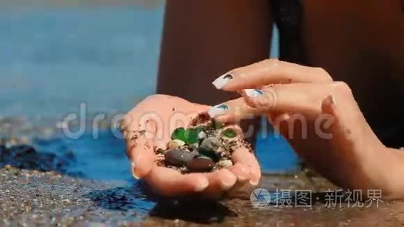 棕榈海中的贝壳