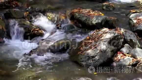 在小溪流中，大角度的水流冲过覆盖在叶子上的岩石