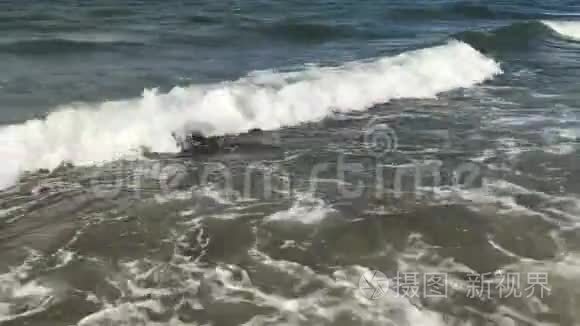 夏季傍晚越南海岸附近的强浪视频