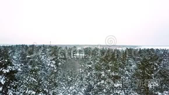 冬天公园上方积雪覆盖的街道视频