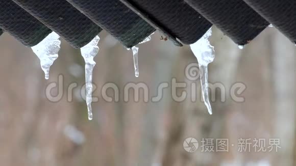 从冰柱滴下的水滴视频