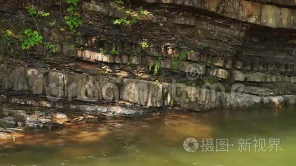 森林里的小水流