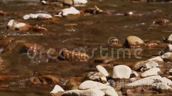 森林里的小水流