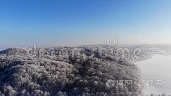 雪的田野和冬林.