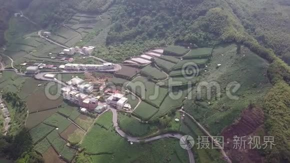 台湾阿里山山区茶园村. 鸟瞰图