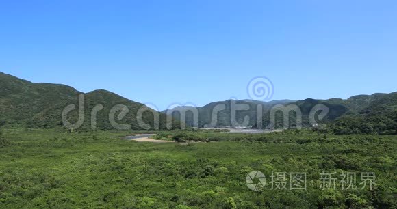 大岛大岛红树林晴天淘洗视频