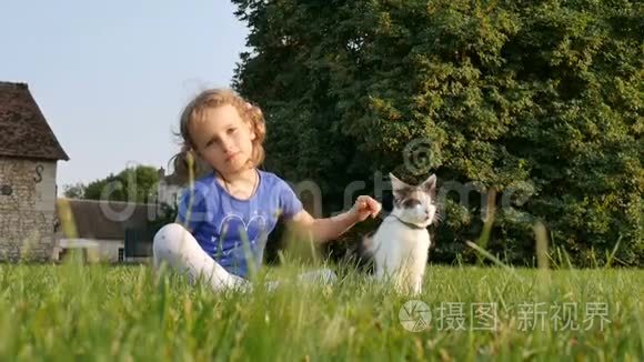 一个甜美的女孩和一只三色的猫坐在旁边的草地上.. 在一栋老房子的背景下