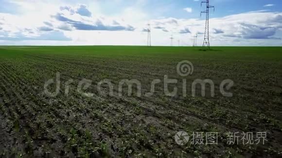 种植大豆和电力线路的广阔田野视频