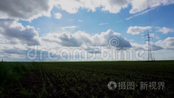 种植大豆和电力线路的广阔田野视频