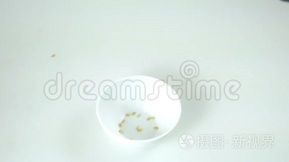一碗米饭.