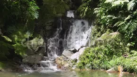 泰国萨梅岛森林中的塔尔坦瀑布视频