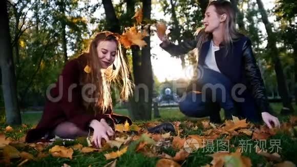 两个女孩互相扔树叶视频