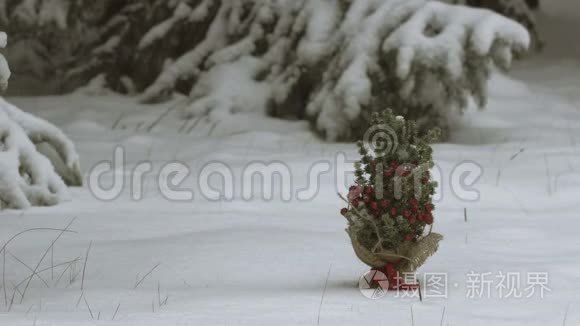 降雪下的小圣诞树