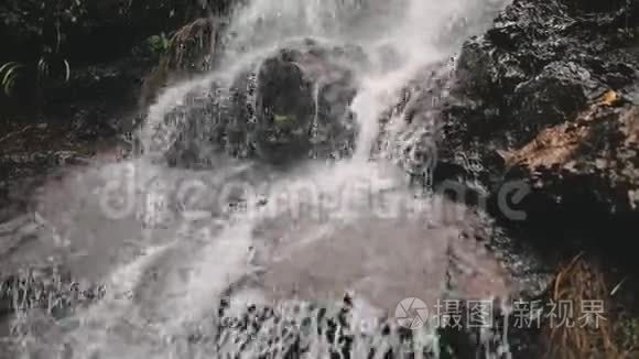 雨林中的山级联野瀑布视频