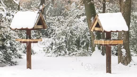 冬天雪天两只鸟喂食