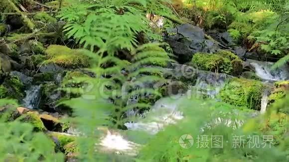 雨水顺着岩石流下来视频