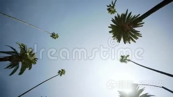 驶过比佛利大道上的棕榈树，蓝色的天空泛着阳光。 比佛利山
