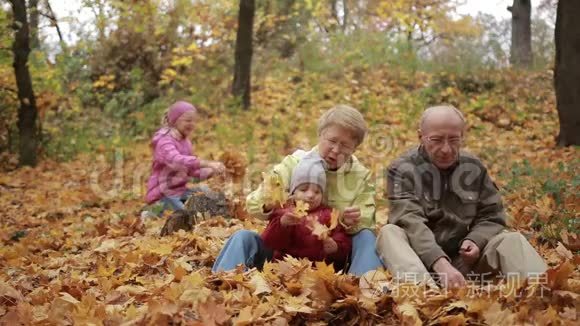 秋天欣赏金叶的四个家庭视频