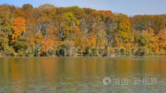 湖中秋色的树木和云的倒影视频