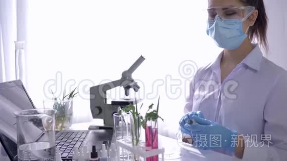 实验室助理人员在专门配备的实验室中与植物进行生物研究