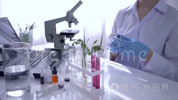 实验室工作人员用试管中的植物进行生物研究，然后在显微镜下检查