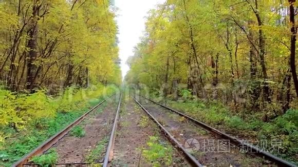 乌克兰森林中有电车线路的秋天视频