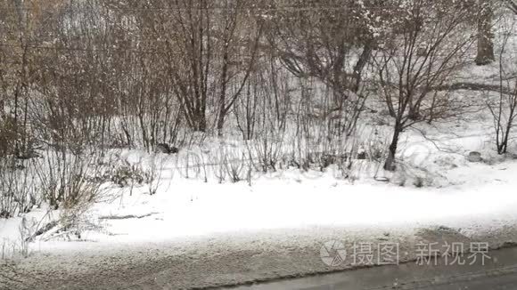 潮湿的雪和雨落在树木和灌木丛上，沿着泥泞潮湿的道路，在雨天或秋天