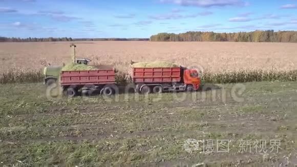 侧视玉米结合卡车收集玉米团视频