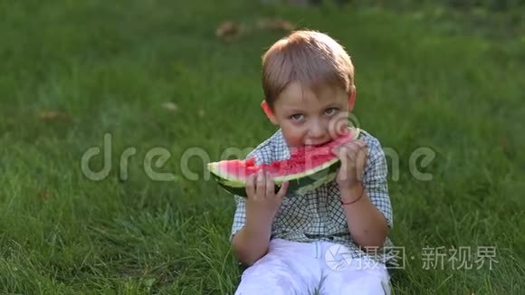 小男孩在公园里吃西瓜的草地上，特写..