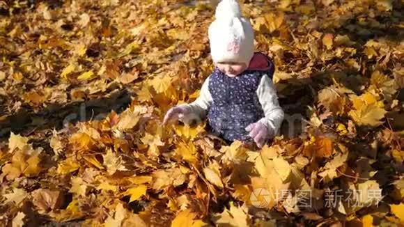 小孩子在秋天公园玩。 宝宝玩黄叶.. 秋天公园户外的小女孩。 一幅肖像画