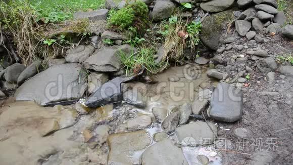 山上的泉水从地下流出视频