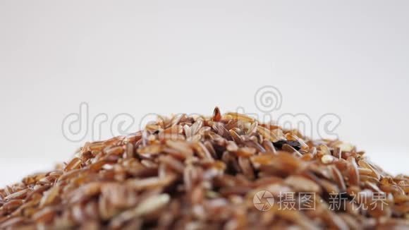 糙米下落缓慢运动.