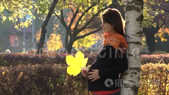 迷人的孕妇玩黄秋叶，摸肚，享受美丽的自然