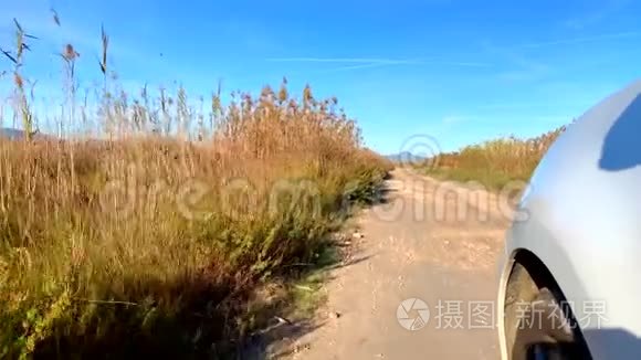 汽车在泥泞的道路上行驶，在Pego和Oliva的La Marjal湿地自然公园