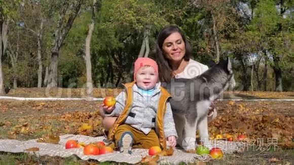 今年秋天，妈妈带着儿子和宠物坐在公园里放苹果的格子地上