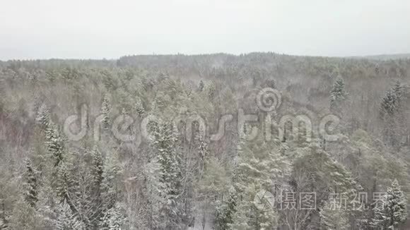 直观无人驾驶飞机秋天林冠变色视频