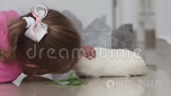 小女孩和她的宠物鱼子酱玩视频