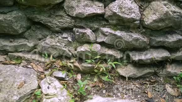 石墙的背景纹理有草和苔藓视频