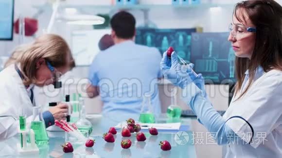 科学家用转基因注射草莓
