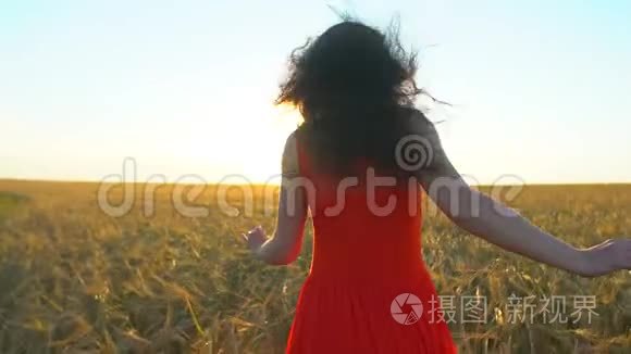 快乐的年轻西班牙裔美女在日落的夏天在麦田上奔跑。 自由健康、幸福旅游