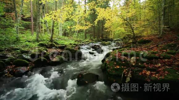 秋天的河流伴着大自然的声音视频