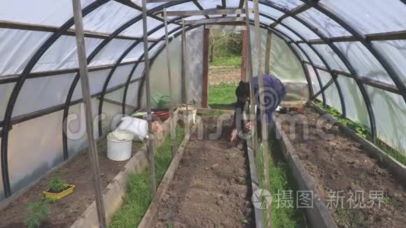 女人在温室里准备土壤视频