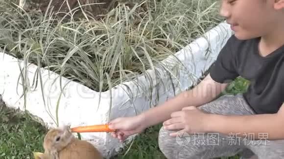 亚洲可爱的小男孩用手喂兔子。 有农场动物的圆柱，慢动作4K。
