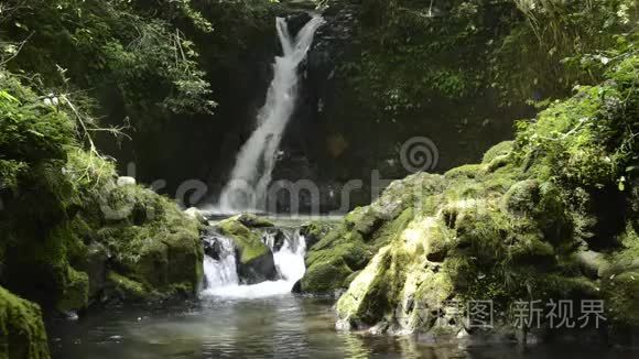 瀑布和苔藓岩视频