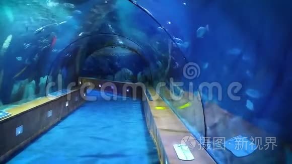 海洋生物检验现代水下隧道视频